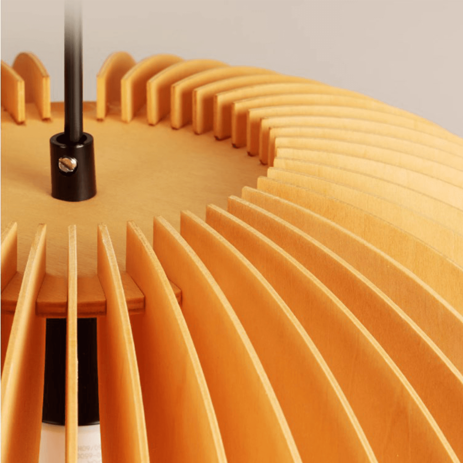 Pumpkin Pendant Light