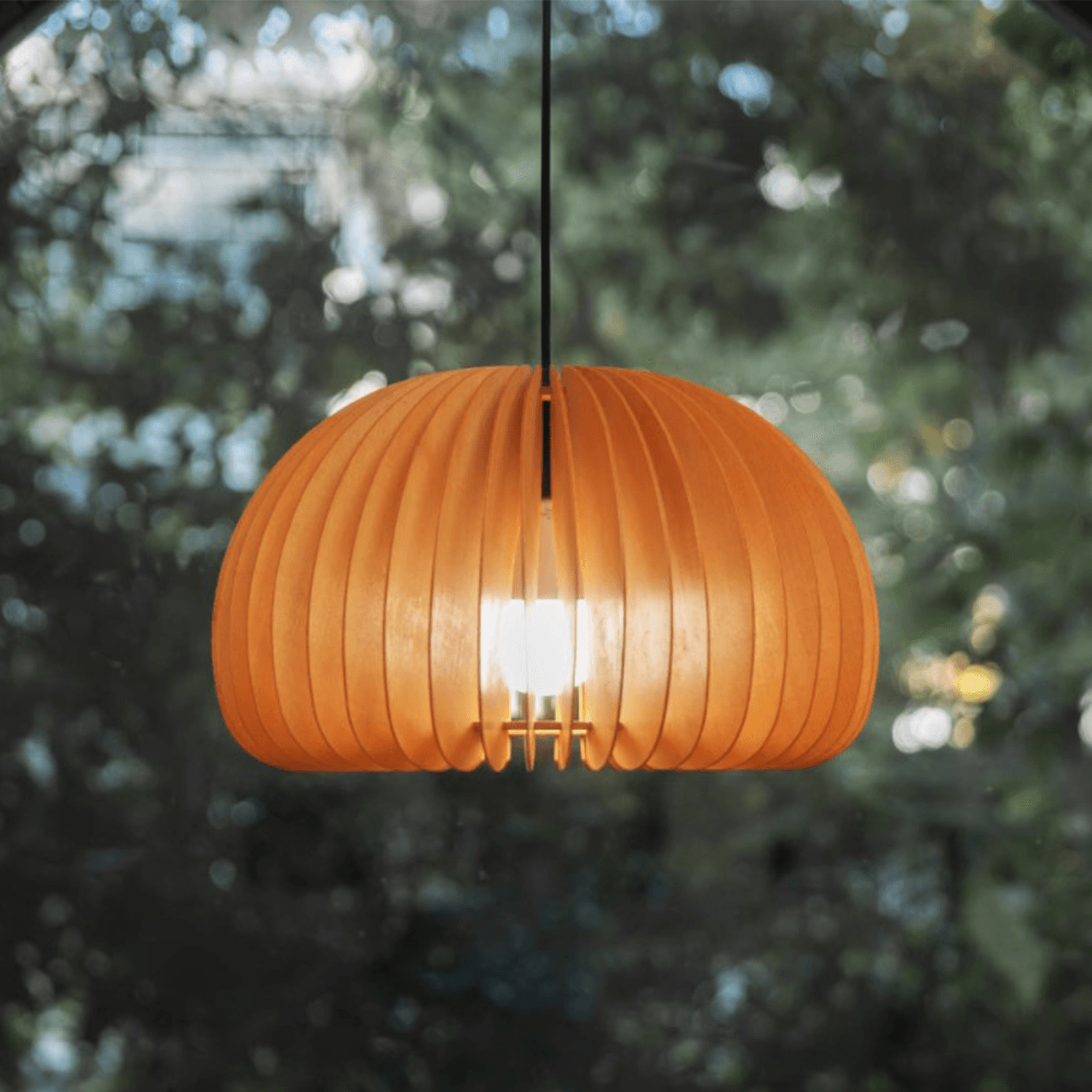 Pumpkin Pendant Light