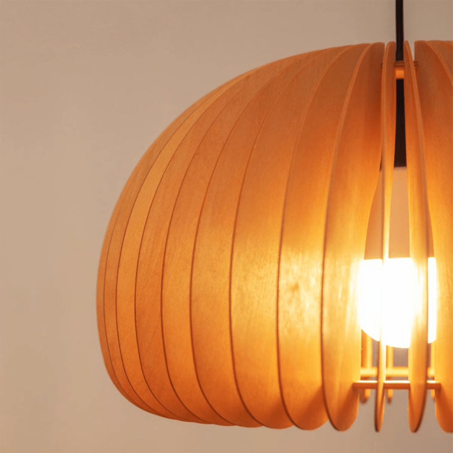 Pumpkin Pendant Light