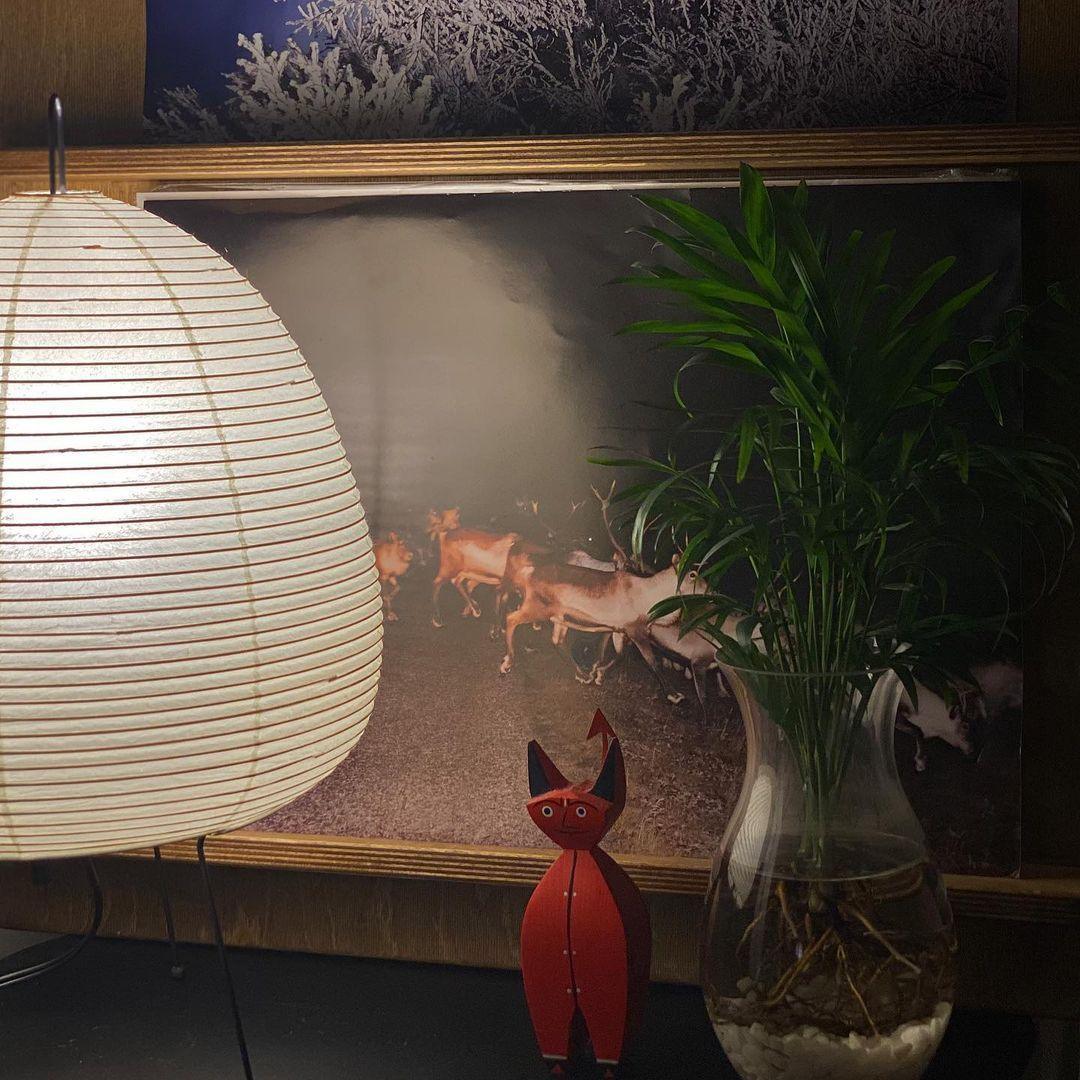 Rowen Glow Paper Table Lamp