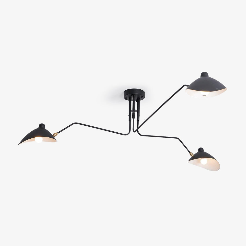Thoreau Feldko Ceiling Light A