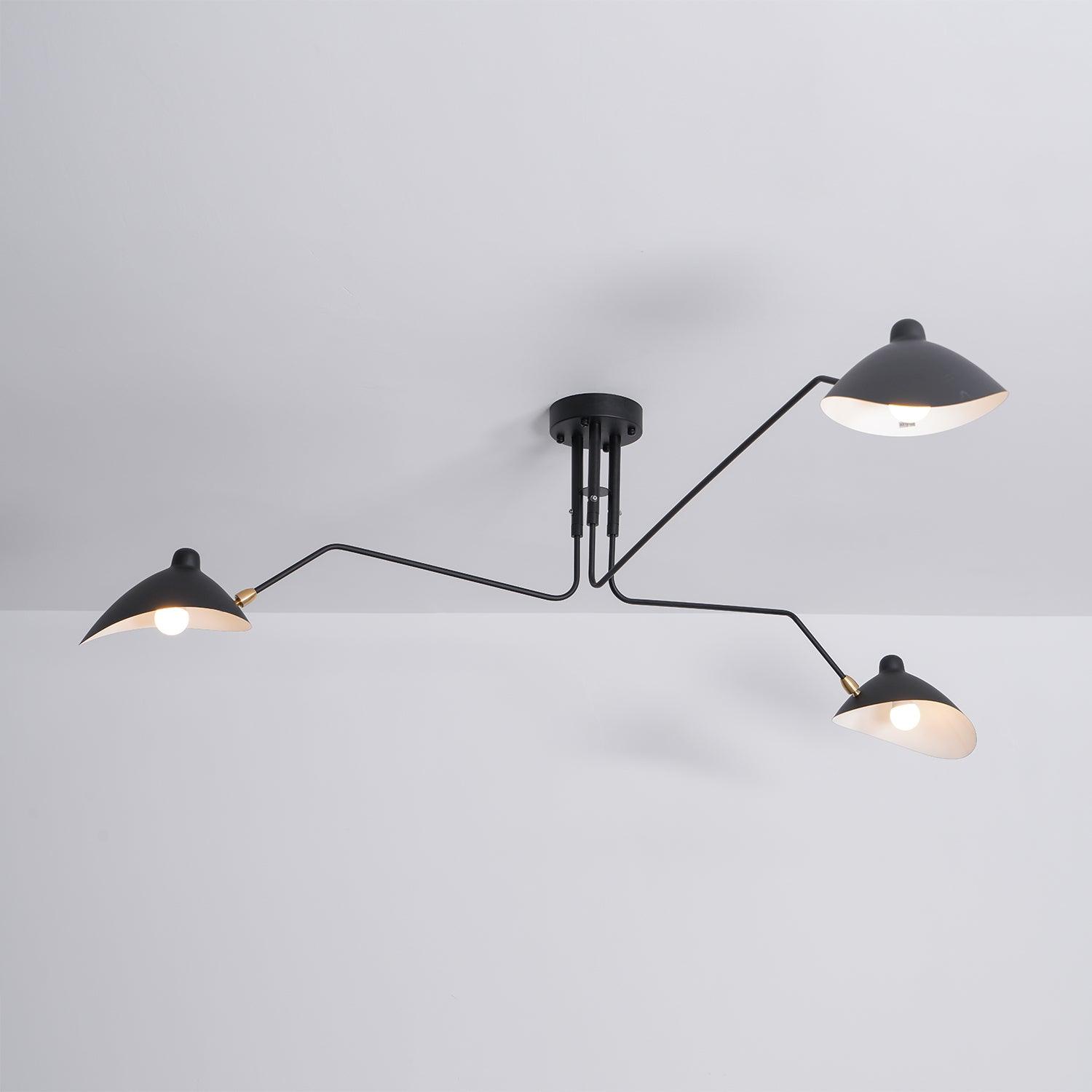 Thoreau Feldko Ceiling Light A