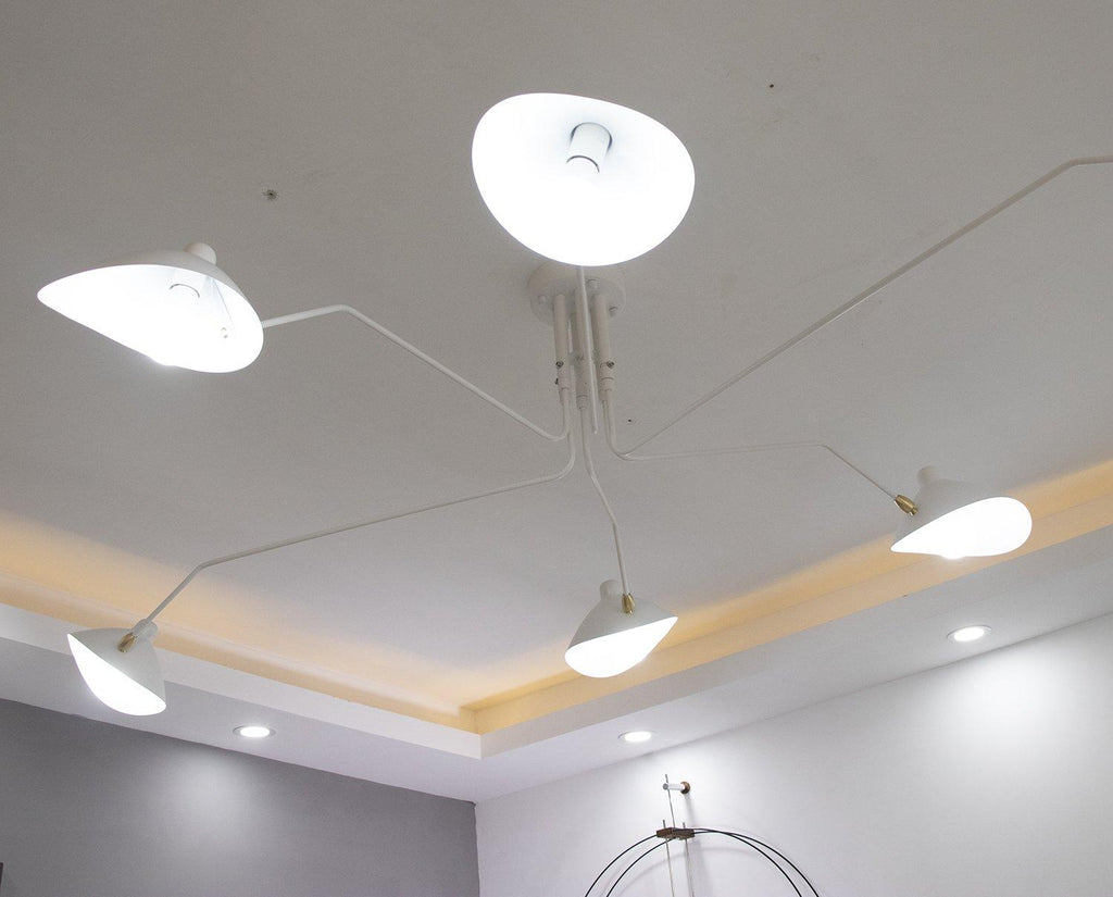 Thoreau Feldko Ceiling Light A