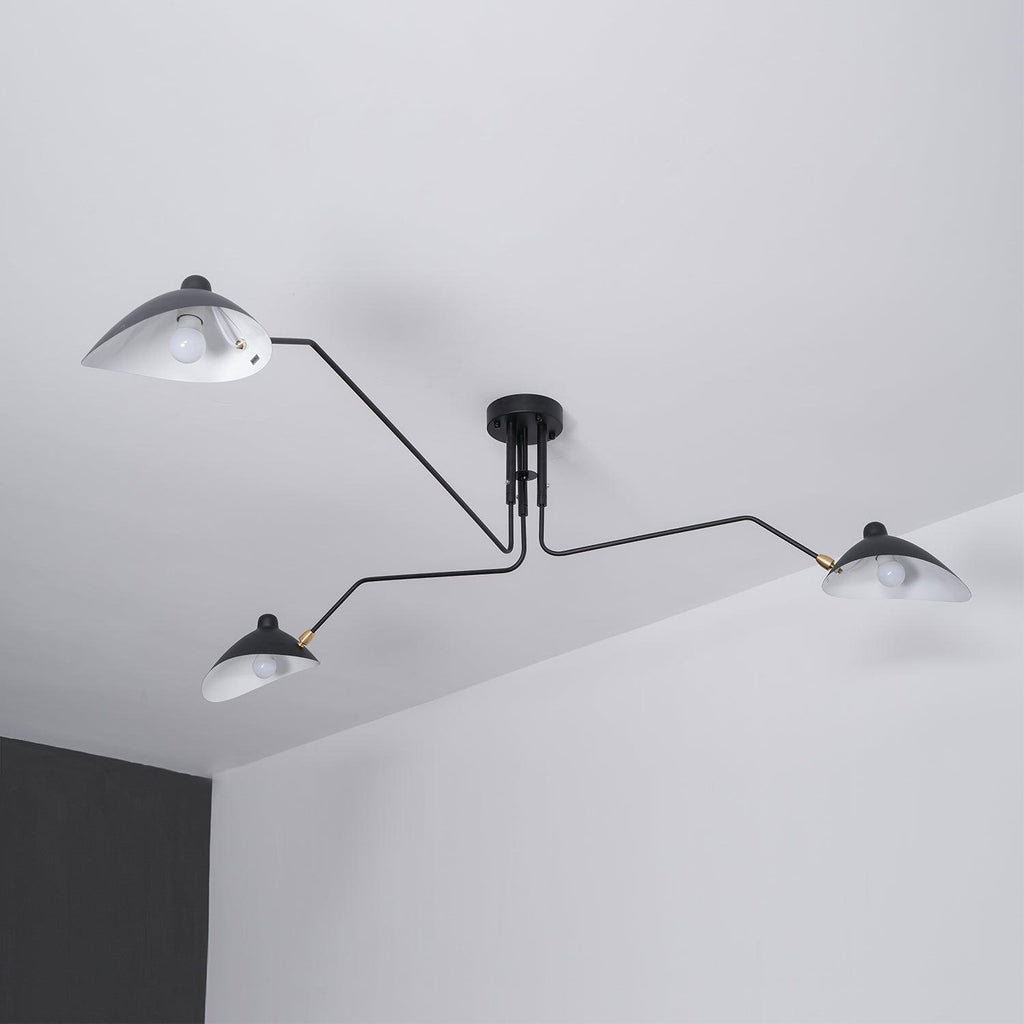 Thoreau Feldko Ceiling Light A