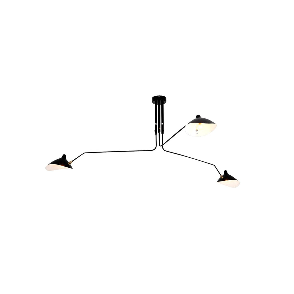 Thoreau Feldko Ceiling Light A