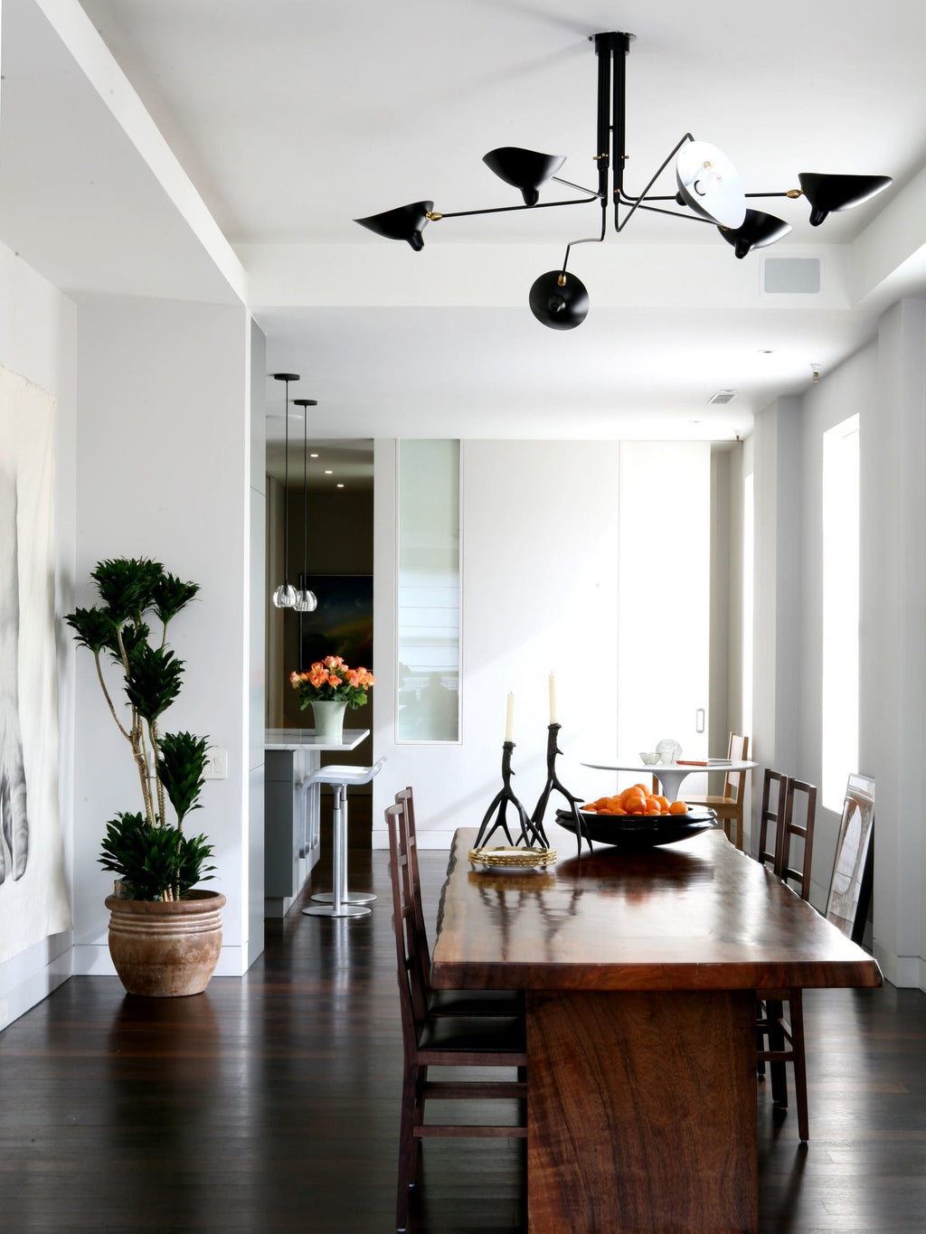 Thoreau Feldko Ceiling Light A