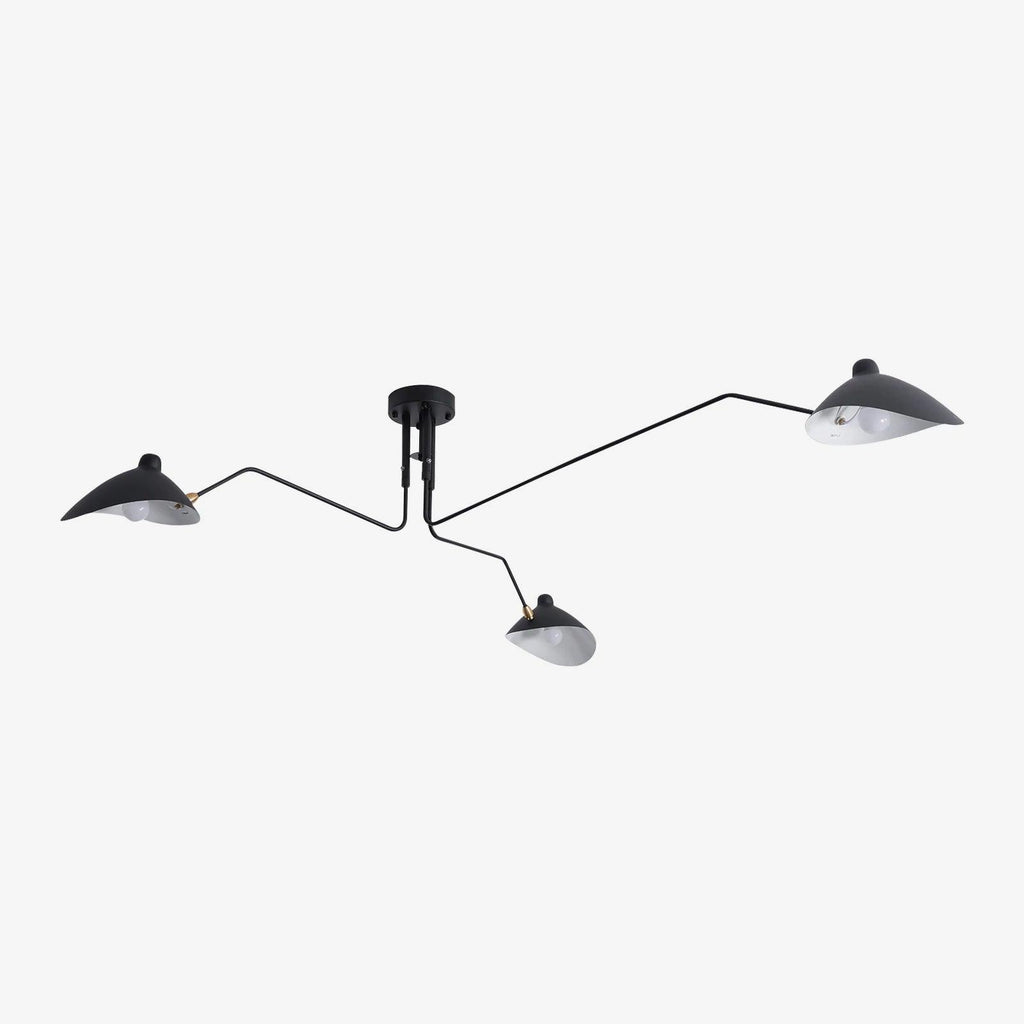 Thoreau Feldko Ceiling Light A