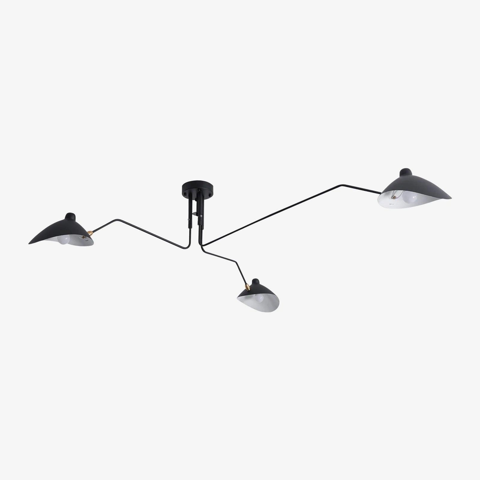 Thoreau Feldko Ceiling Light A